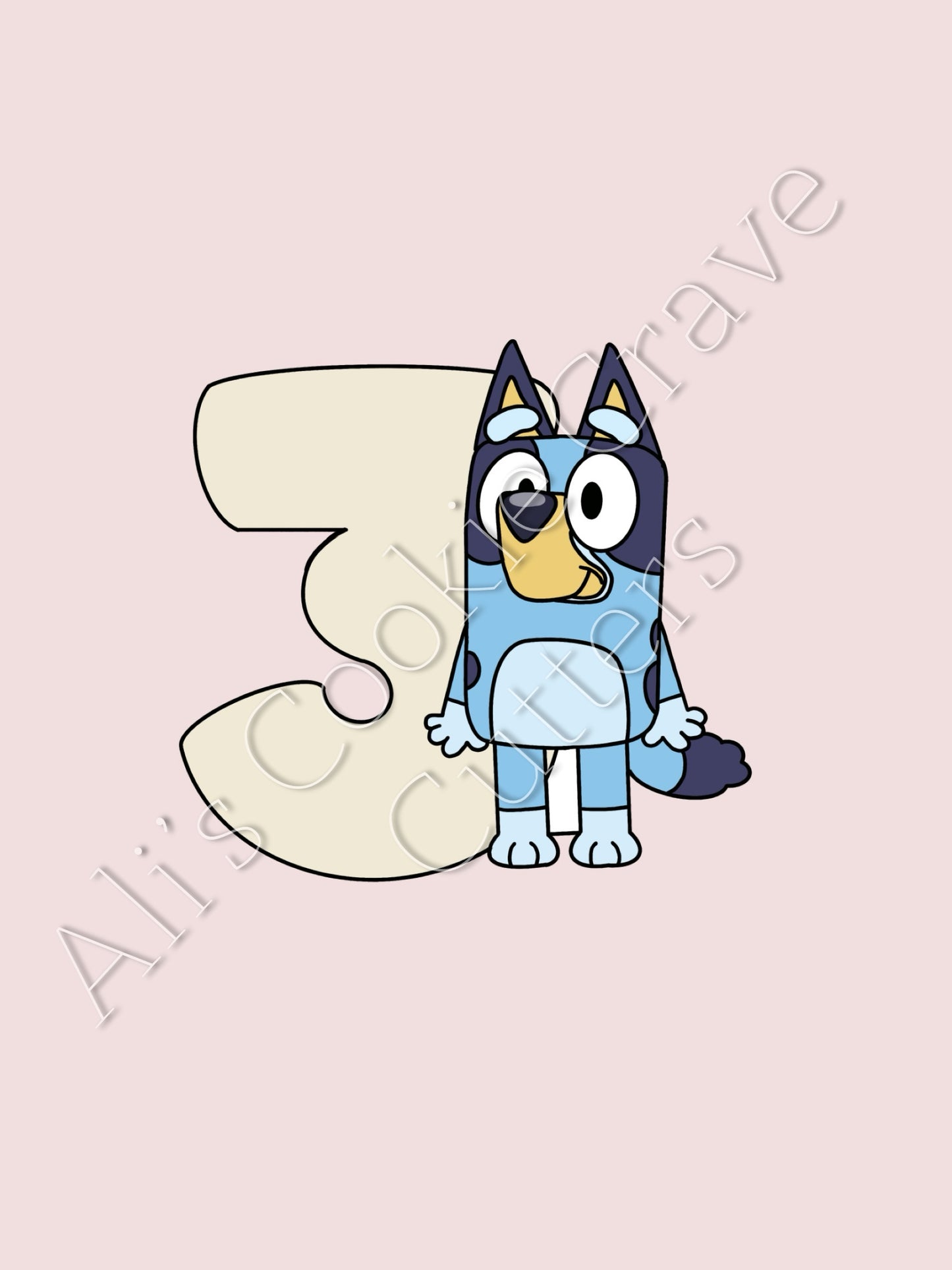 Bluey Number 3