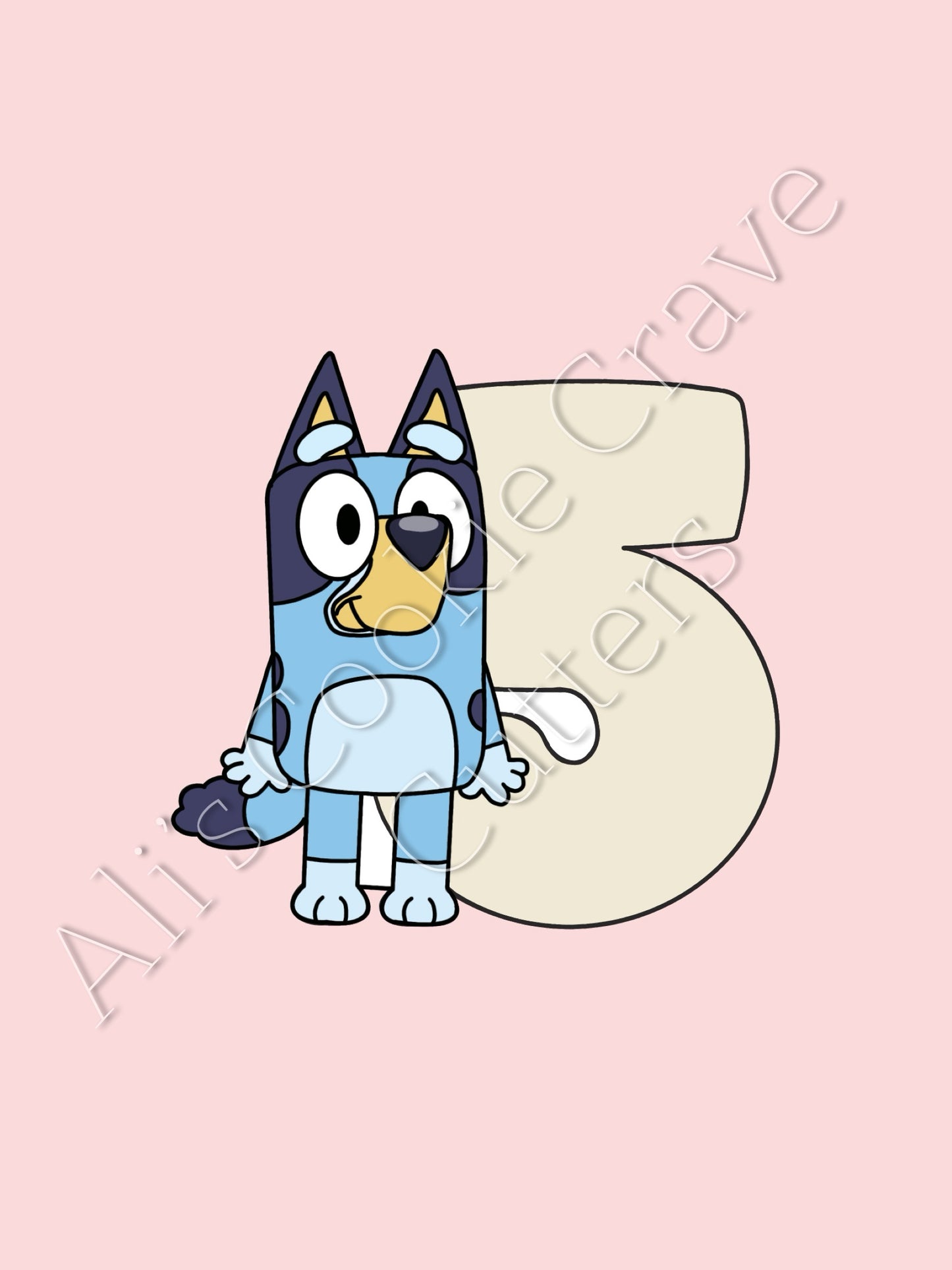 Bluey Number 5