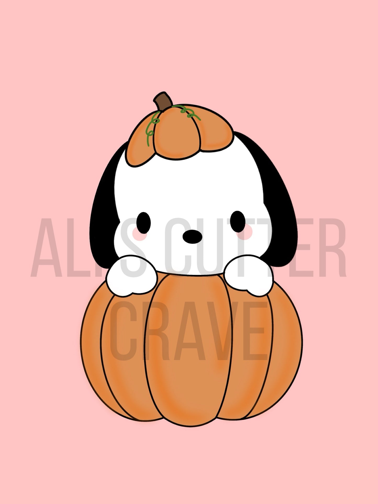 Pachocco Pumpkin