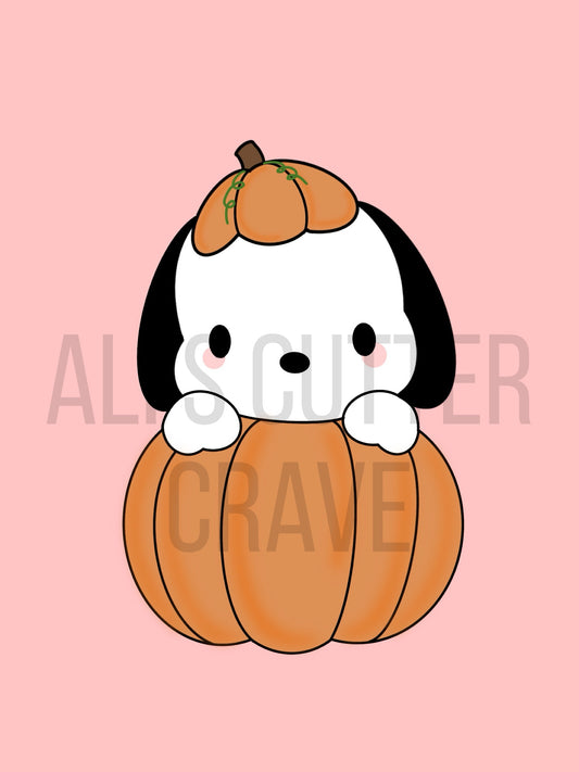 Pachocco Pumpkin